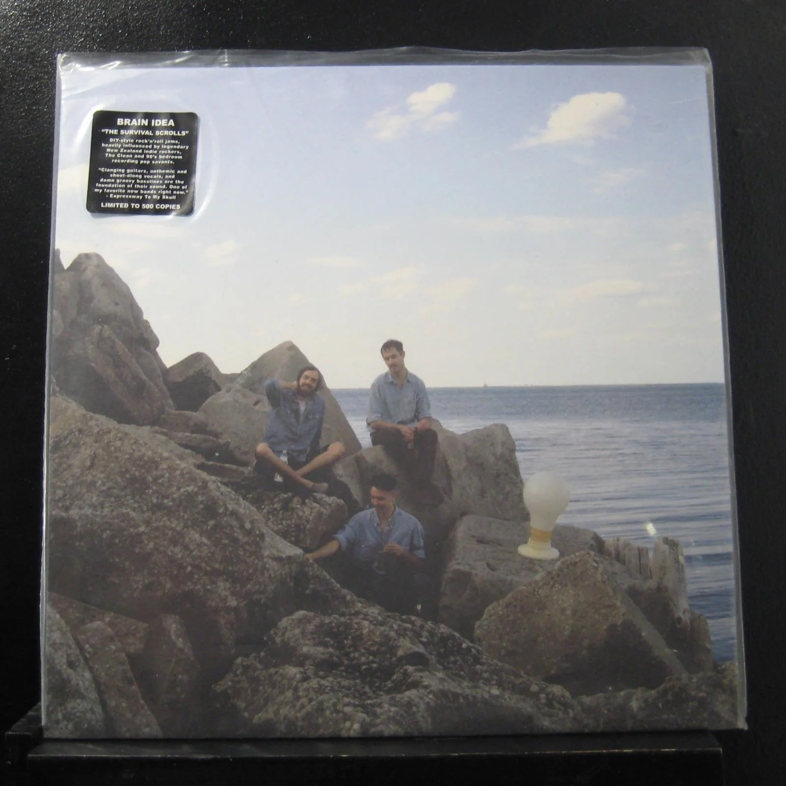 Brain Idea - The Survival Scrolls - Mint- LP Record 2010 Permanent USA Vinyl & Insert - Psychedelic Rock / Lo-Fi