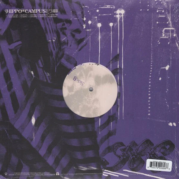 Hippo Campus - LP3 - Mint- LP 2022 Grand Jury USA Purple Swirl Opaque Vinyl - Indie Rock - Image 4