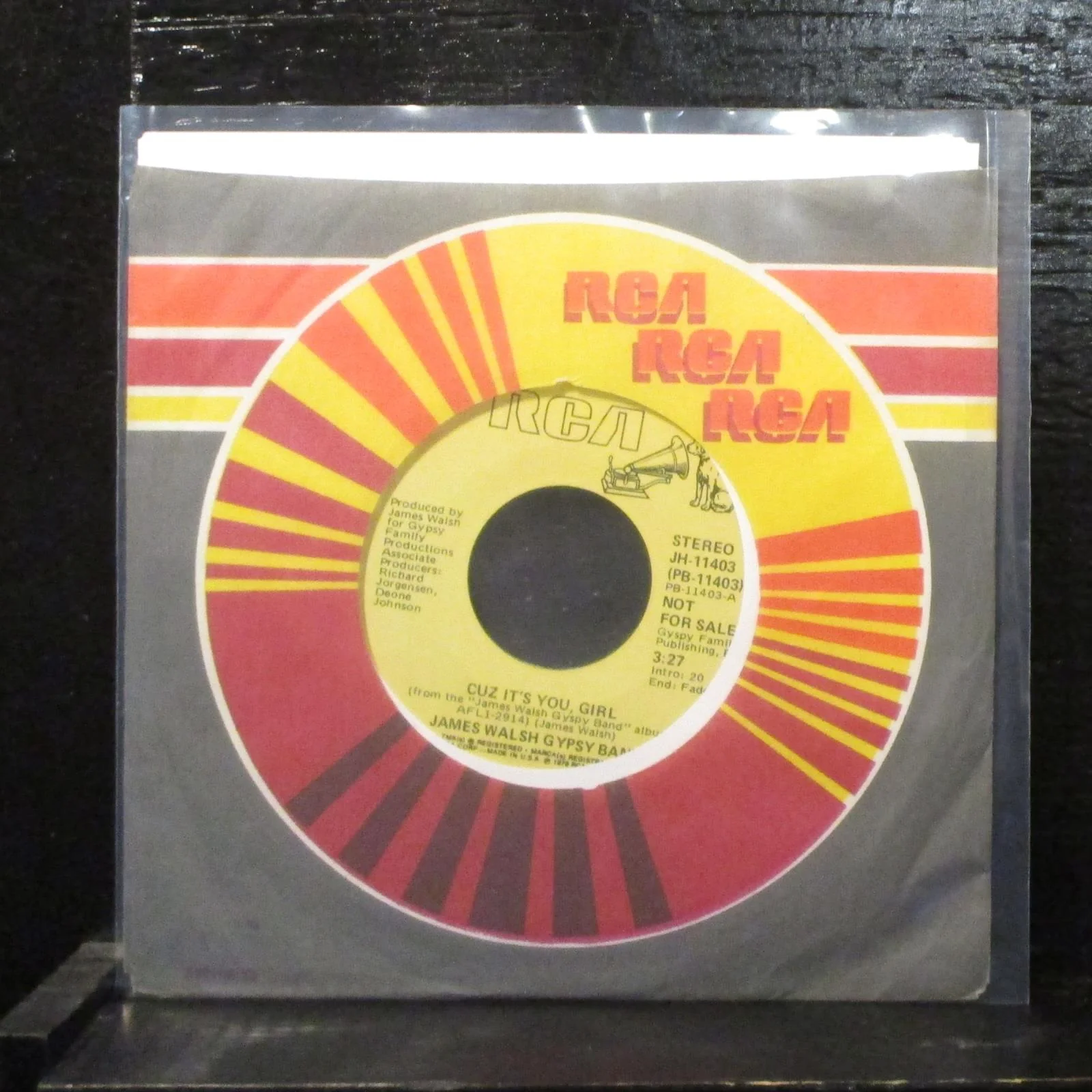James Walsh Gypsy Band  Cuz It's You, Girl Mint- Promo 7" Vinyl 45 RCA JH-11403 - Image 2