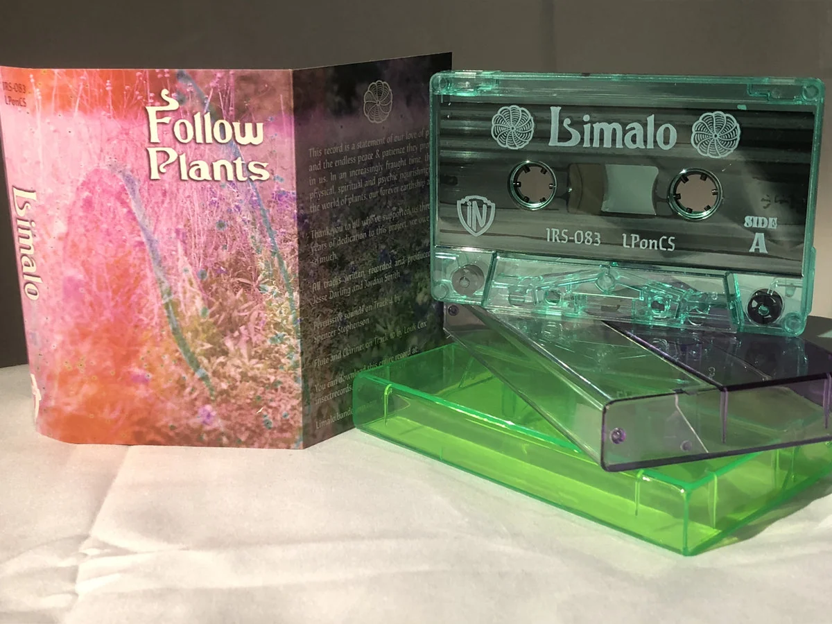 Limalo - Follow Plants - New Cassette 2022 Insect Green Tape - Experimental Electronic