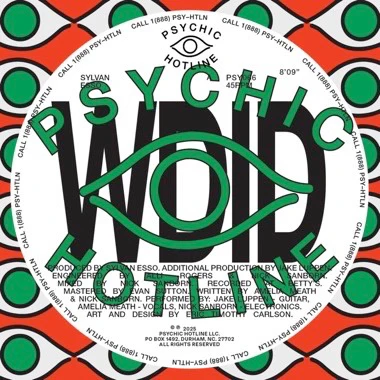 Sylvan Esso - WDID / KEEP ON - New 12" Single Record 2025 Psychic Hotline Vinyl - Indie Pop / Electro Pop