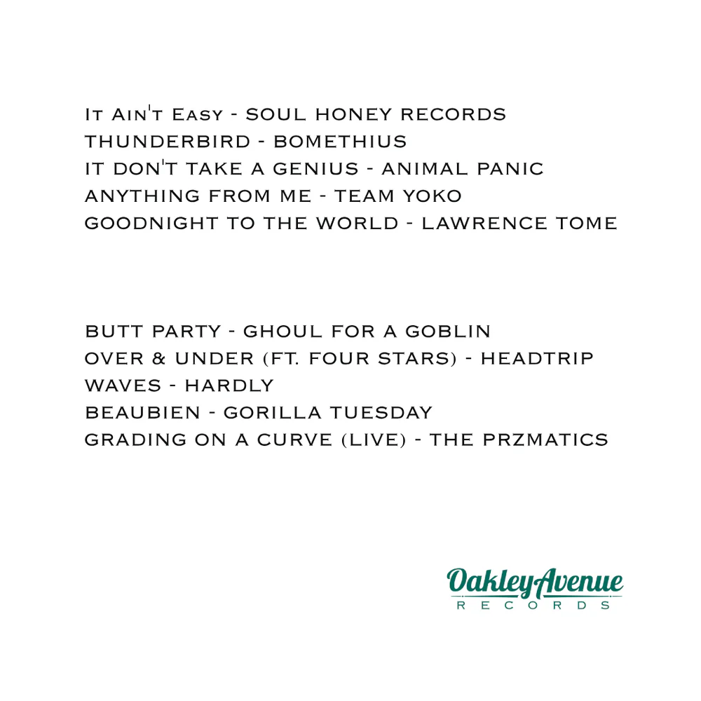 Various - Oakley Avenue Records: The Compilation Album - New LP Record 2025 Oakley Vinyl - Chicago Rock - Image 2