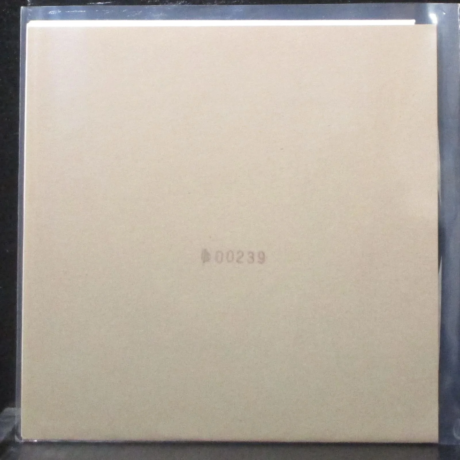 White Rabbits / Matt Demmon - The Beetle 7" Mint- Vinyl 45 Eupholus euph01 2000 - Image 2